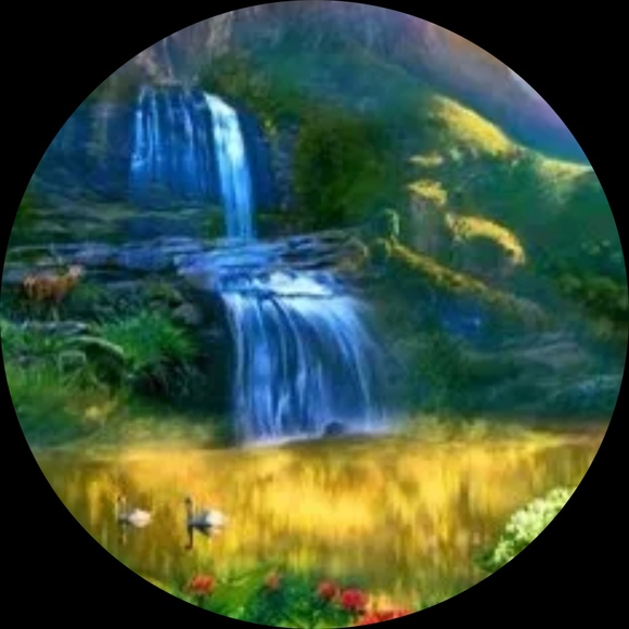 love_blossomed